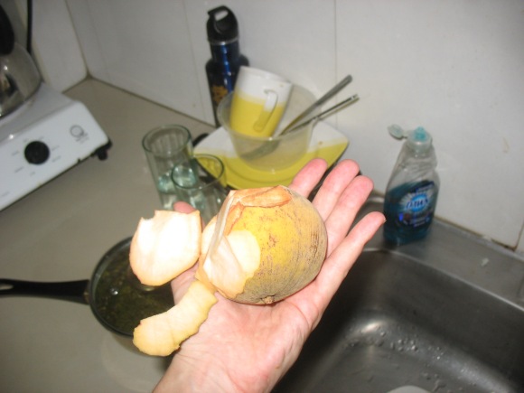 Santol - Had this fruit first in a juice and enjoyed it, so bought one to try and whew is it sour!  Sounds like some people soak/dip it in vinegar and add salt.  We'll see...